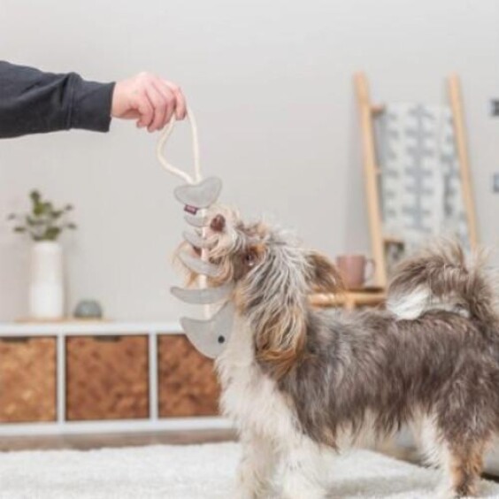Jouet pour chien en cuir véritable arête de poisson sur corde