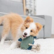 Jouet chien cuir véritable et corde poisson