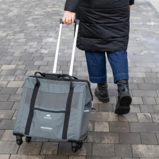 Sac trolley pour chien voyager 450