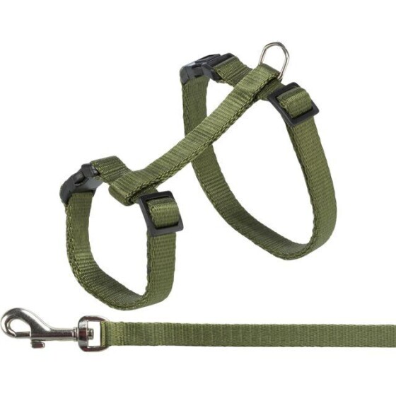 Harnais et laisse pour chat