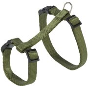 Harnais + Laisse pour chat Uni