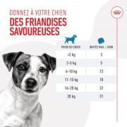 ROYAL CANIN Friandises d'éducation pour chien Training Treats