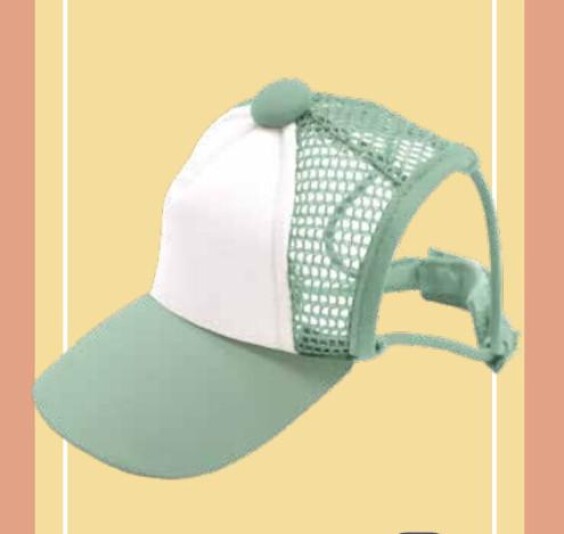 Casquette Visor verte pour chien ou chat