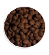 OWNAT croquettes classic energy chien sportif
