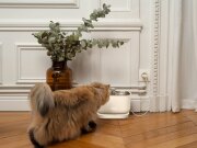 Fontaine à eau filaire silencieuse