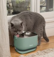 Fontaine à eau sans fil, design et silencieuse