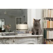 Fontaine à eau sans fil, design et silencieuse