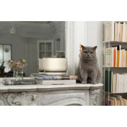 Fontaine à eau sans fil, design et silencieuse