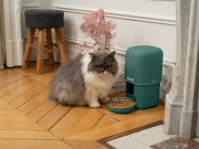 Distributeur automatique de croquettes intelligent, connecté 4L