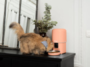 Distributeur automatique de croquettes intelligent, connecté 4L