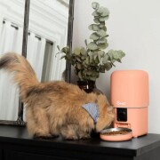 Distributeur automatique de croquettes intelligent, connecté 4L