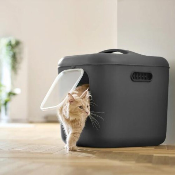 Maison de toilette XL Maine Coon anthracite