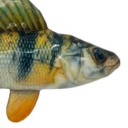 KONG Jouet Wild Shieldz Perche Medium Flottant et Résistant pour Chien