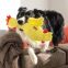 KONG Peluche Scruffs Poulet M/L