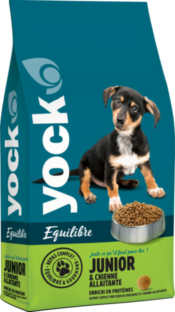 YOCK Croquettes Junior Équilibre