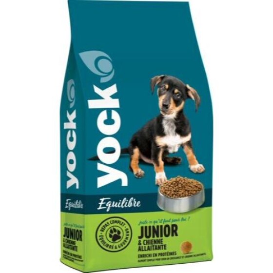 Croquettes Junior YOCK EQUILIBRE