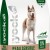 Croquettes sans céréales pour chien à peau sensible – 12 kg YOCK NATURE