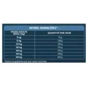 Wild & Authentic Croquettes pour chien au saumon pauvres en céréales (Low Grain)