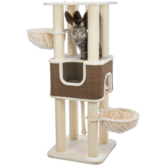 Grand Arbre à chat : hamac, XXL, solide, 174 cm Humberto Beige/Brun foncé