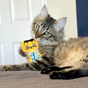 Jouet KONG Artz pour chat Dali & van Gogh 2 pièces