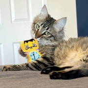 KONG Jouet Artz pour chat Dali & van Gogh 2 pièces