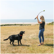 KONG HandiPOD Lanceur de balle + distributeur de sacs