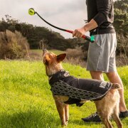 KONG HandiPOD Lanceur de balle + distributeur de sacs