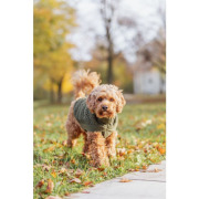 Pull pour chien Norwood vert olive