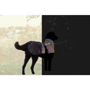 Manteau réfléchissant pour chien Limoux Reflect