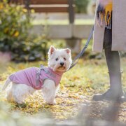 Manteau imperméable pour chien Pontis Rain harnais intégré