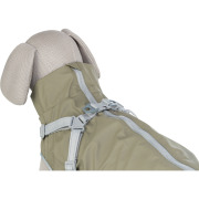 Manteau imperméable pour chien avec harnais intégré