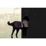 Manteau harnais intégré pour chien Pontis Reflect gris