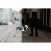 Manteau harnais intégré pour chien Pontis Reflect GRIS