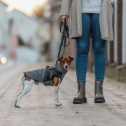 Manteau harnais intégré pour chien Pontis Reflect gris