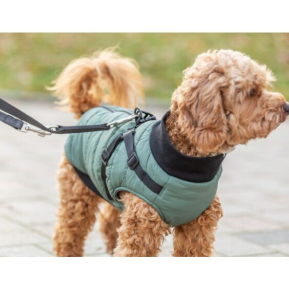 Manteau harnais intégré pour chien Pontis sauge