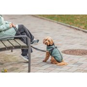 Manteau harnais intégré pour chien Pontis SAUGE