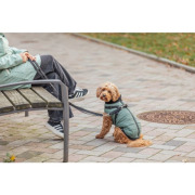 Manteau harnais intégré pour chien Pontis sauge