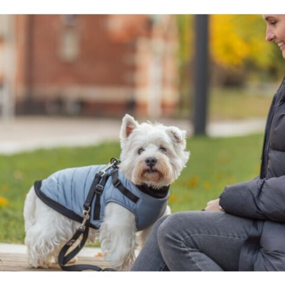 Manteau pour chien harnais intégré Pontis BLEU GRIS