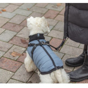 Manteau pour chien à harnais intégré bleu gris