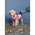 Manteau zippé polaire rose avec harnais intégré pour chien