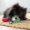 KONG Jouet Snuzzles Minis XS Grenouille