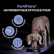 PRO PLAN FortiFlora en bouchées– Complément probiotique pour chien