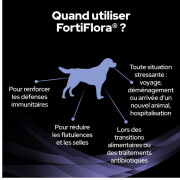 PRO PLAN FortiFlora – Complément probiotique en sachets pour chien