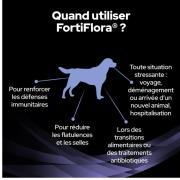 PRO PLAN FortiFlora complément probiotique en sachets pour chien