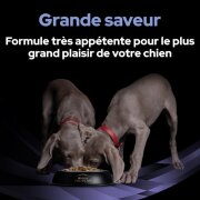 PRO PLAN FortiFlora – Complément probiotique en sachets pour chien