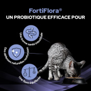 PRO PLAN FortiFlora Bouchées probiotiques pour chat