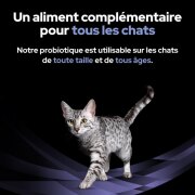 PRO PLAN FortiFlora – Bouchées probiotique pour chat