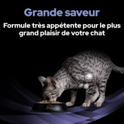 PRO PLAN FortiFlora Bouchées probiotiques pour chat