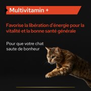 PRO PLAN Multivitamins+ pour chat – Complément multivitaminé en poudre