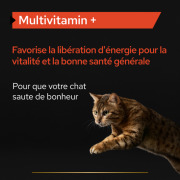 PRO PLAN Multivitamins+ pour chat – Complément multivitaminé en poudre